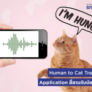 Human to Cat Translator Application ສື່ສານກັບນ້ອງແມວໝຽວ
